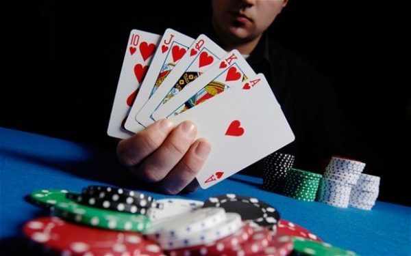 Rumi Slots کیسینو میں بکراٹکھیلیں